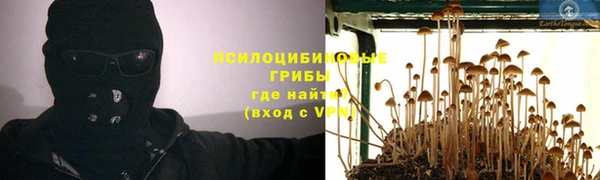 дурь Володарск